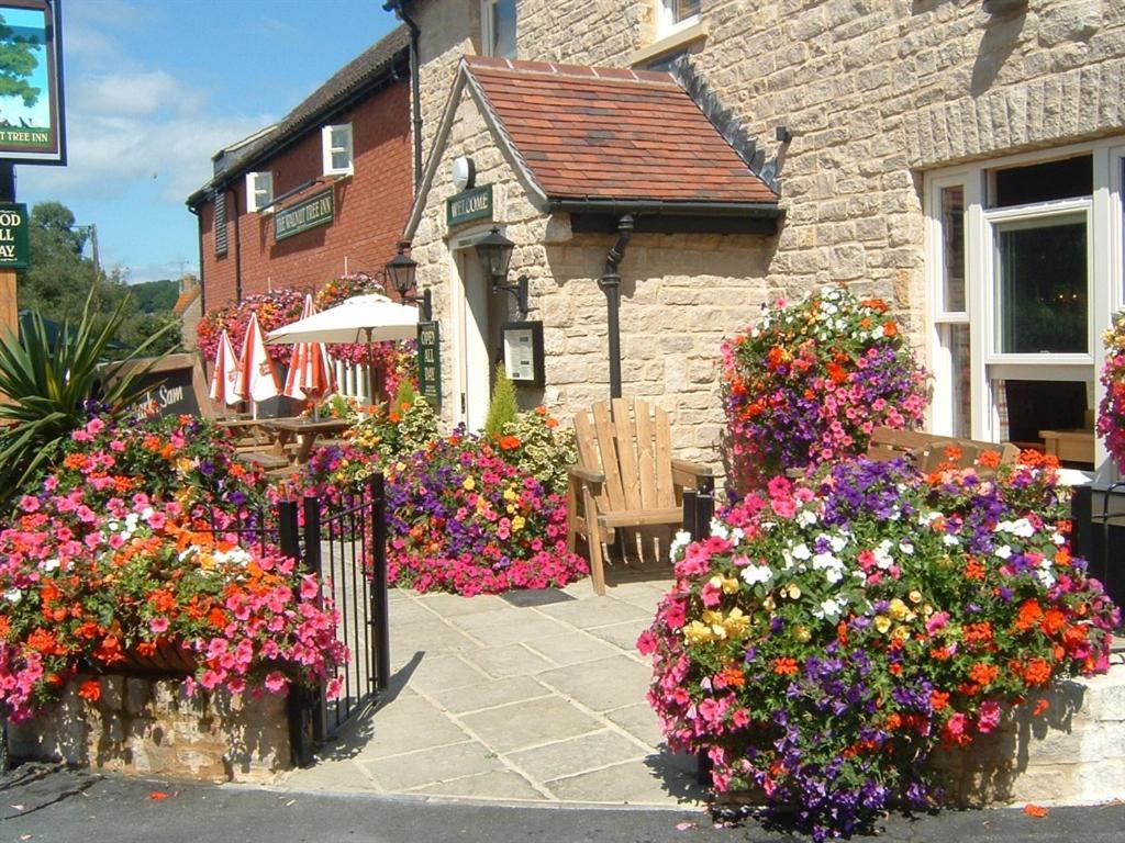 The Walnut Tree Inn Mere Mere  Exteriör bild